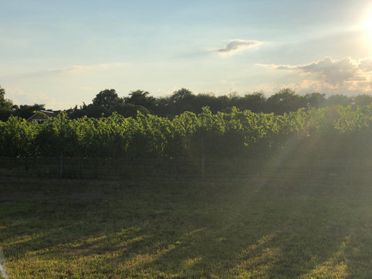 Wineries, Breweries & Distilleries