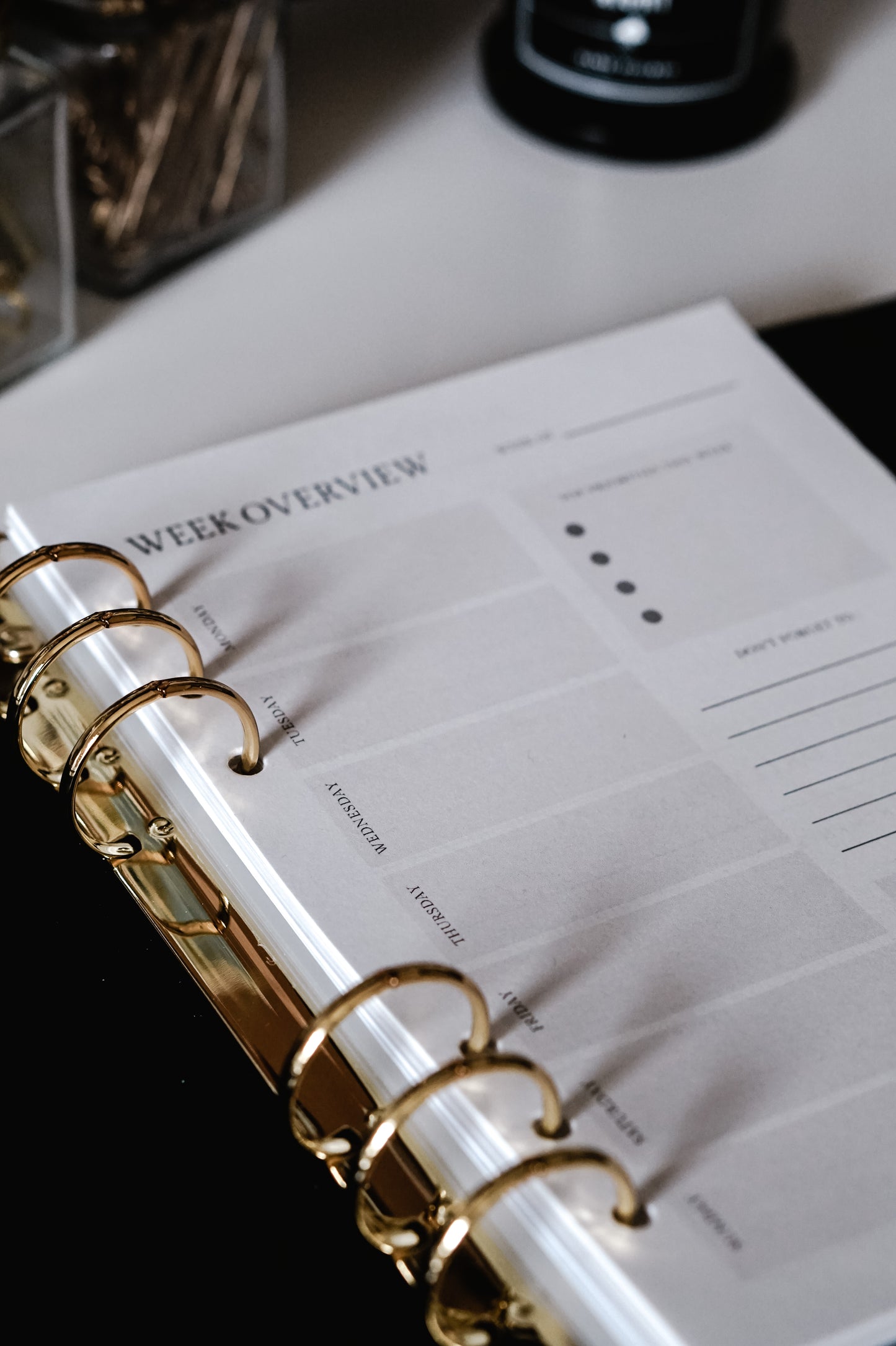 Vegan Leather Planner (Inserts Included)