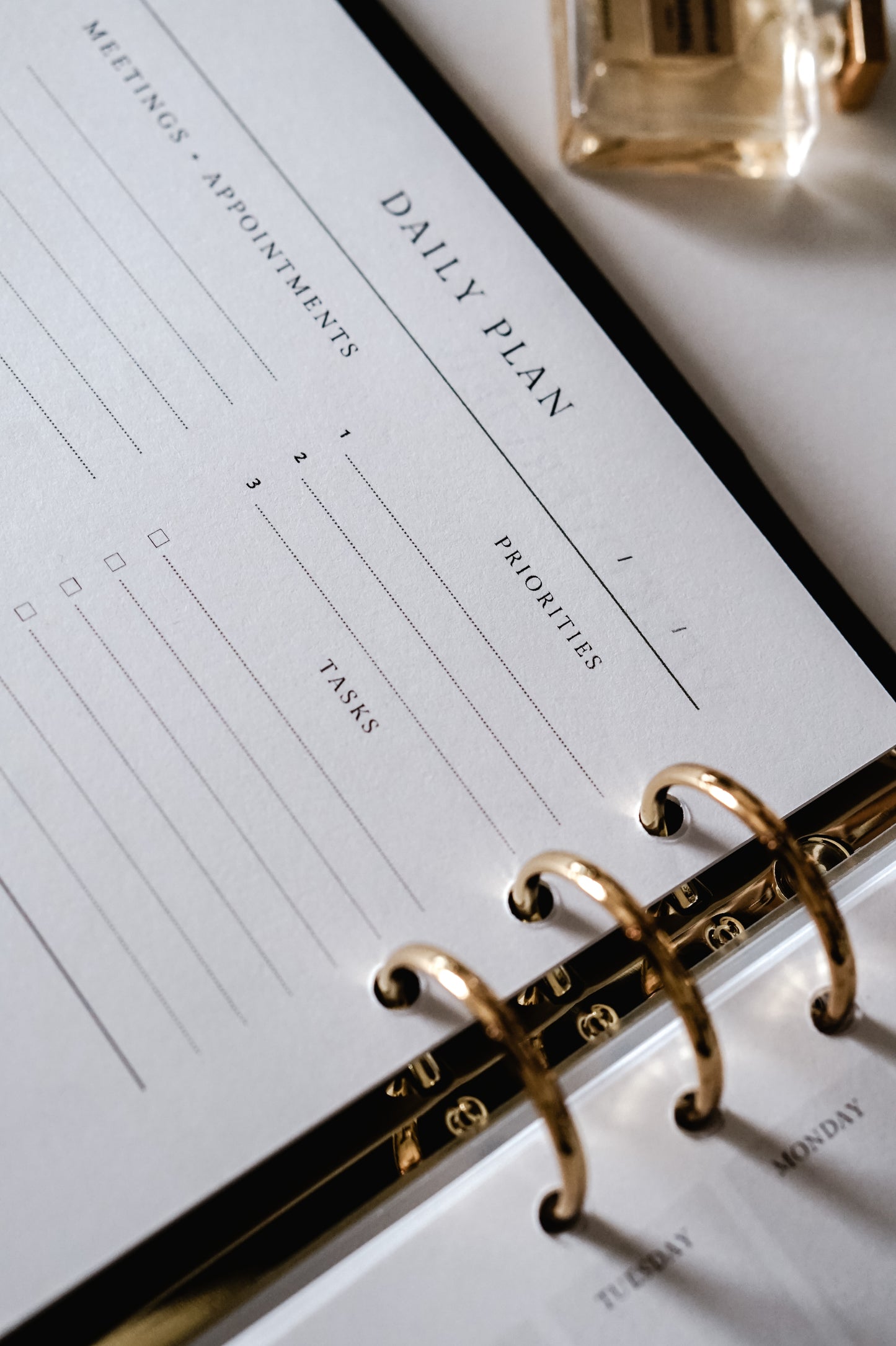 Vegan Leather Planner (Inserts Included)