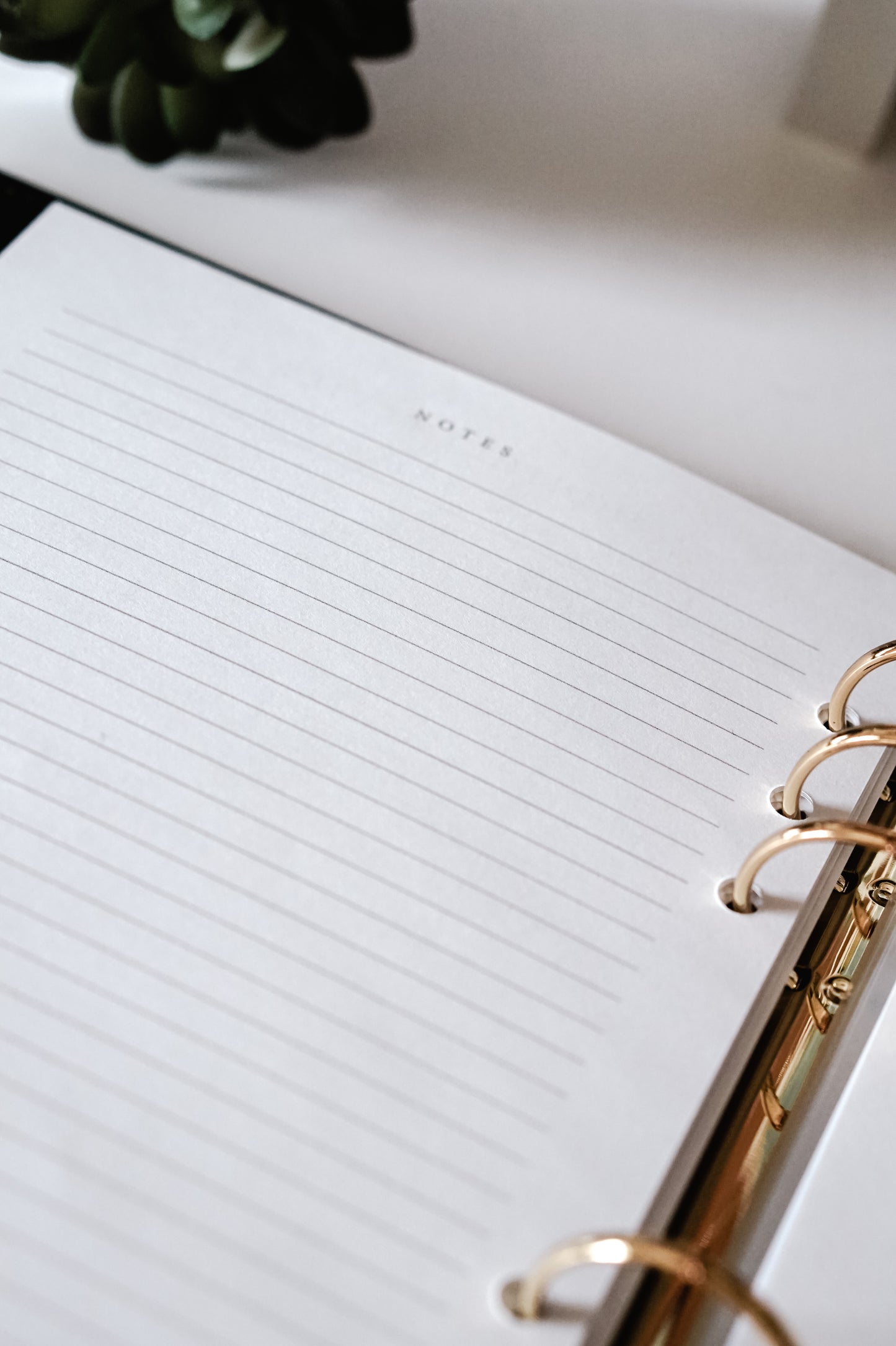 Vegan Leather Planner (Inserts Included)